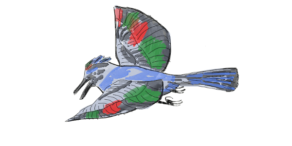 cute bird